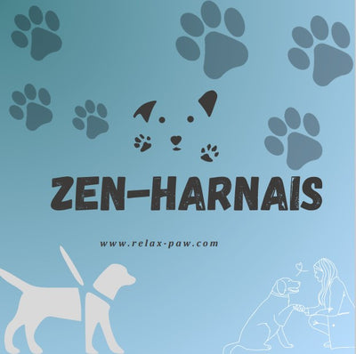 ZEN-HARNAIS