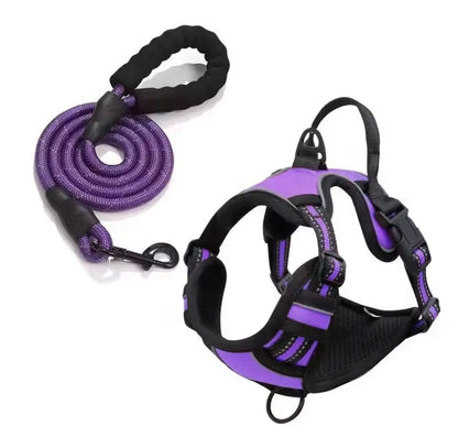 Harnais pour chien anti-traction – Confort total et sans stress
