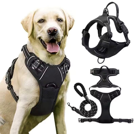 Harnais pour chien anti-traction – Confort total et sans stress