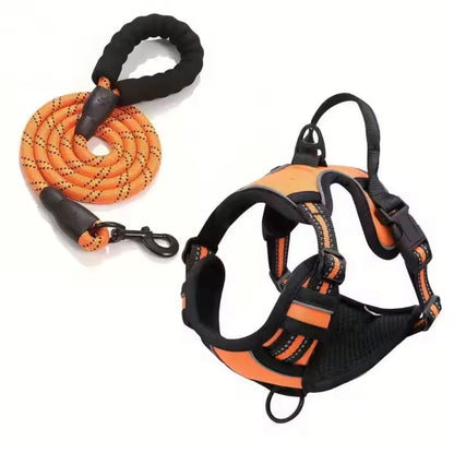 Harnais pour chien anti-traction – Confort total et sans stress